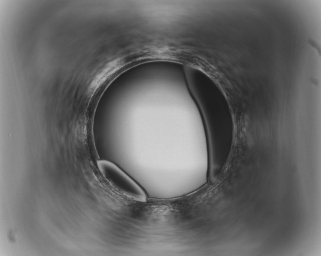 X0000102810344200808181228