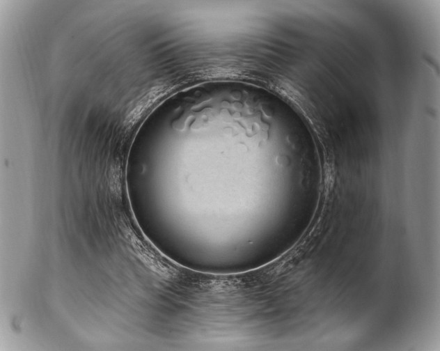 X0000102810345200808181228