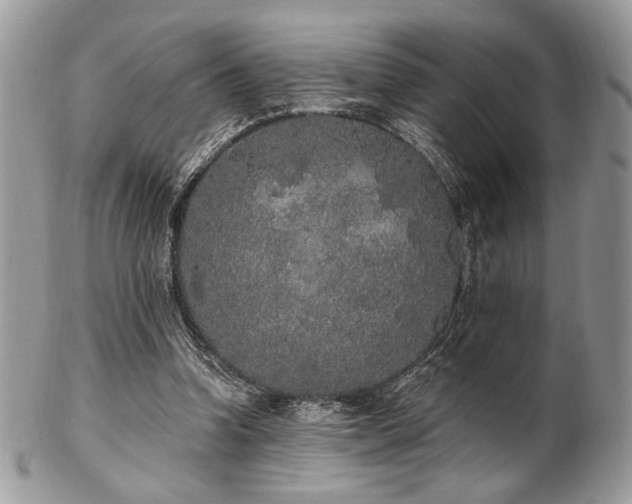 X0000102810346200808181228