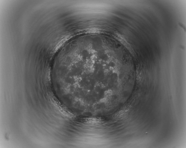 X0000102810347200808181228