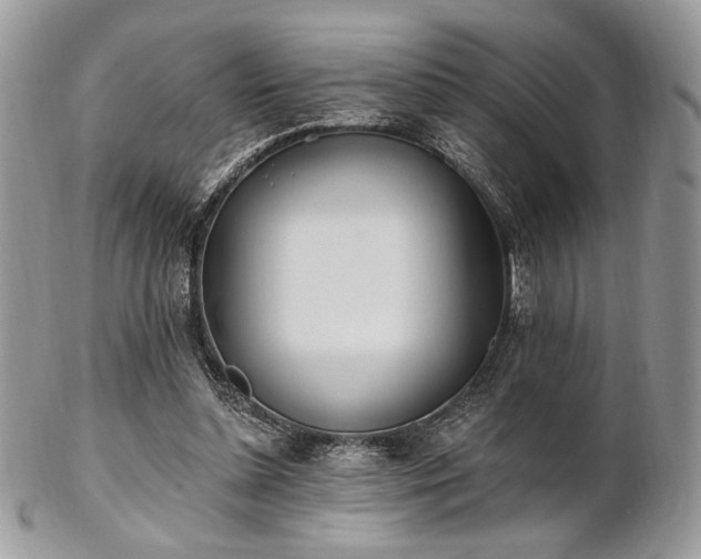 X0000102810348200808181228