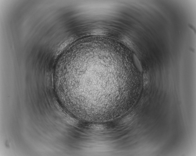 X0000102810349200808181228