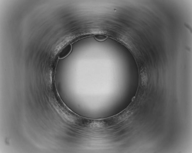 X0000102810350200808181228