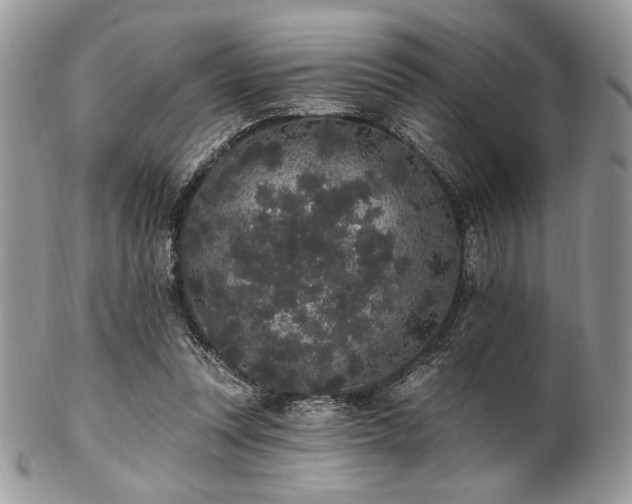 X0000102810351200808181228