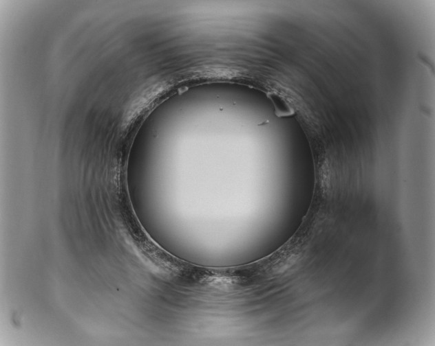 X0000102810352200808181228