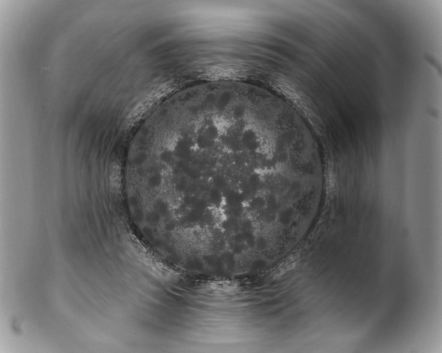 X0000102810353200808181228