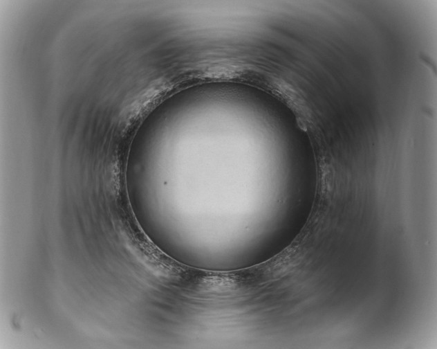 X0000102810354200808181228