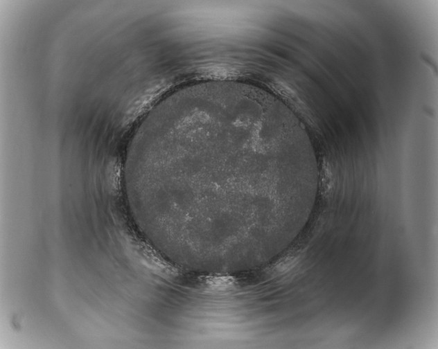 X0000102810355200808181228