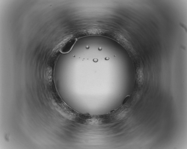 X0000102810356200808181228