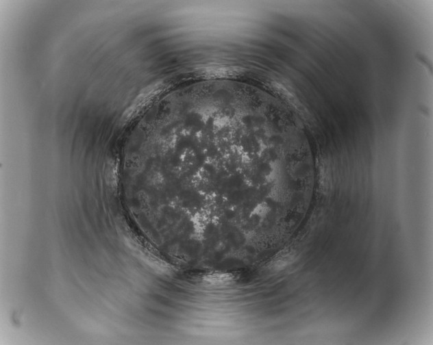 X0000102810357200808181228