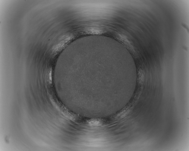 X0000102810358200808181228