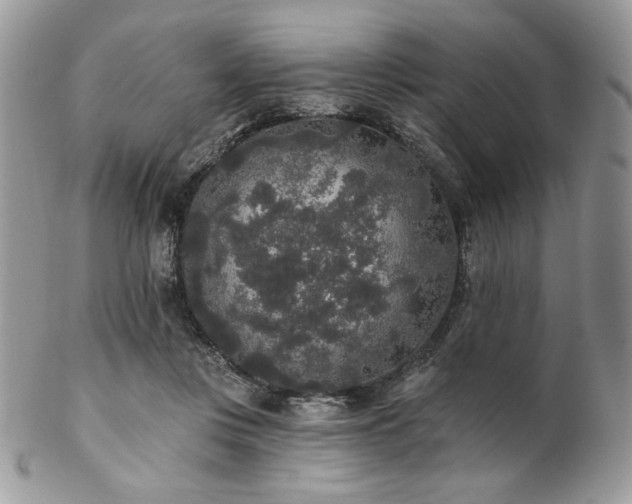 X0000102810359200808181228