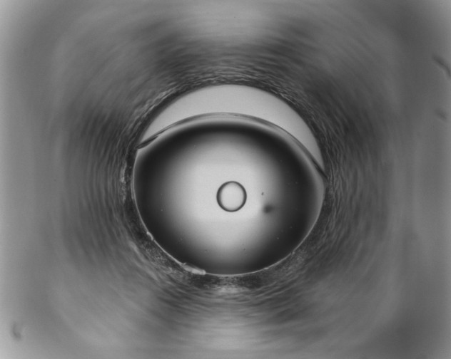 X0000102810360200808181228