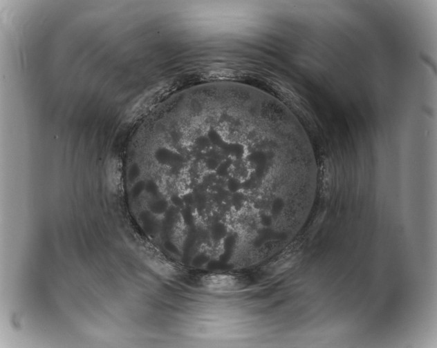 X0000102810361200808181228