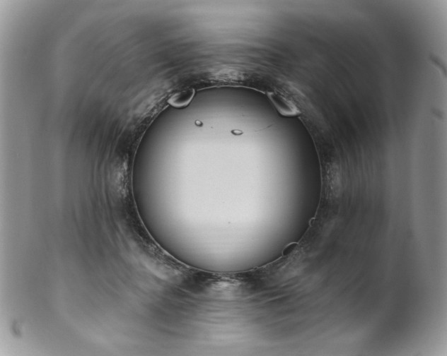 X0000102810364200808181229