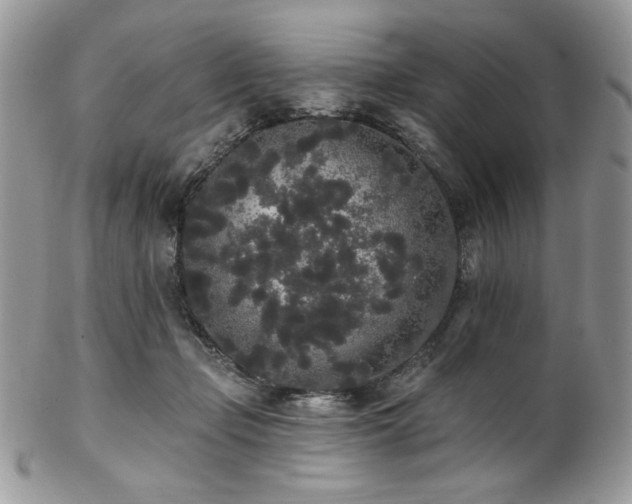 X0000102810365200808181229