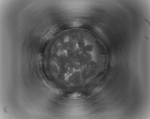 X0000102810366200808181229