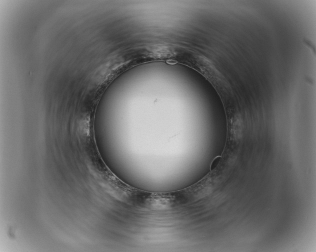 X0000102810368200808181229