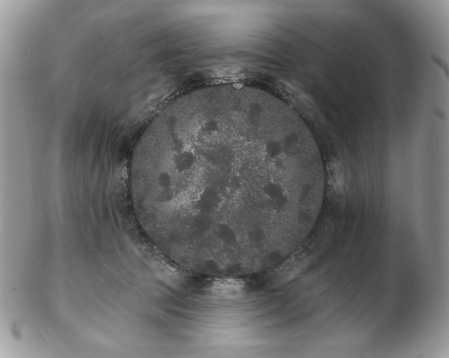 X0000102810369200808181229