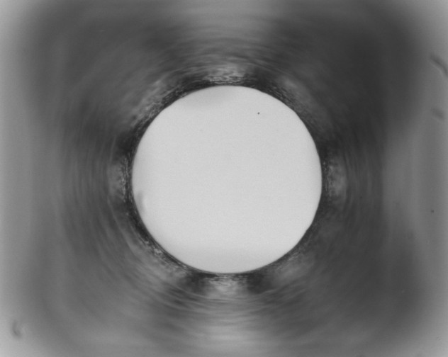 X0000102810370200808181229