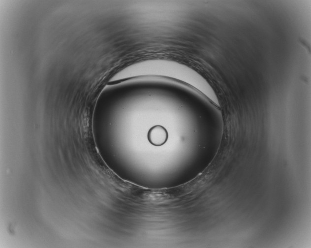 X0000102810372200808181229