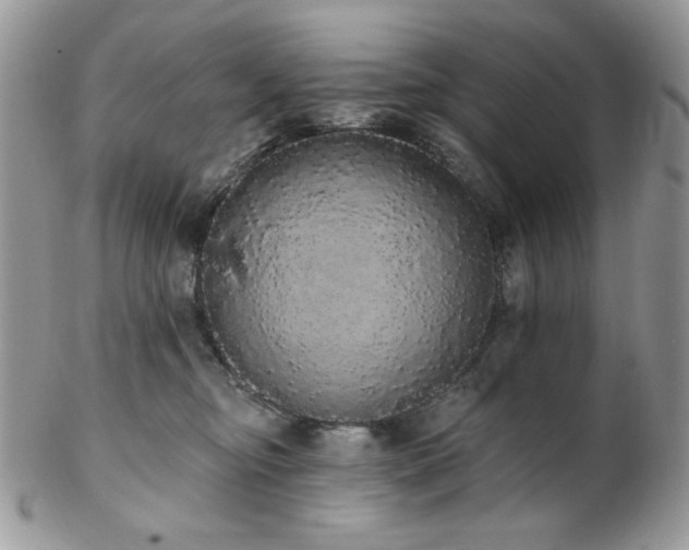 X0000102810374200808181229