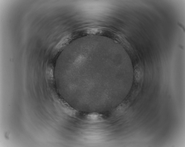 X0000102810375200808181229