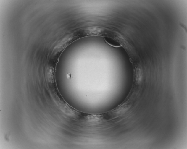 X0000102810378200808181229