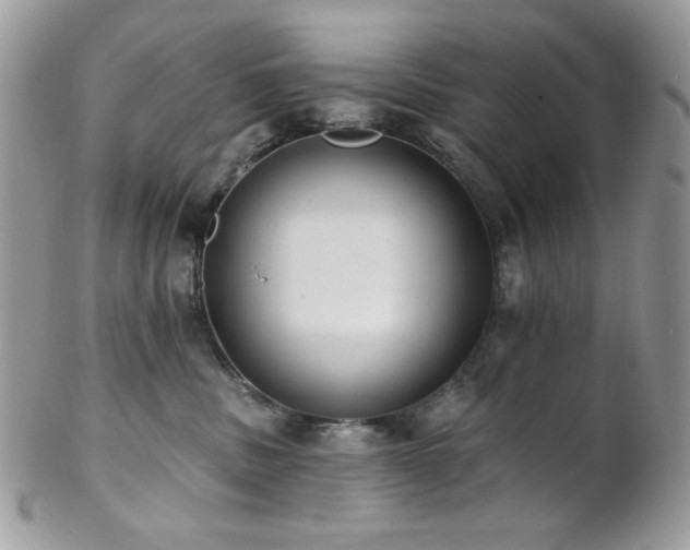 X0000102810379200808181229