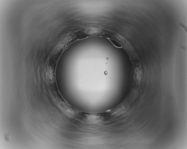 X0000102810380200808181229