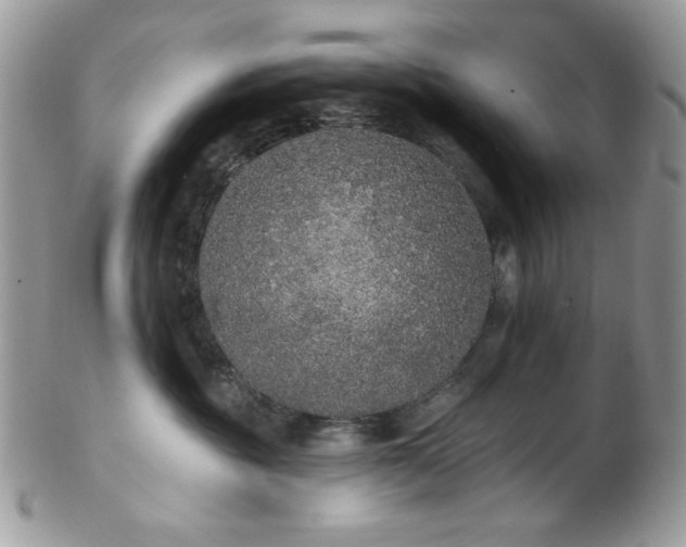 X0000102810381200808181229