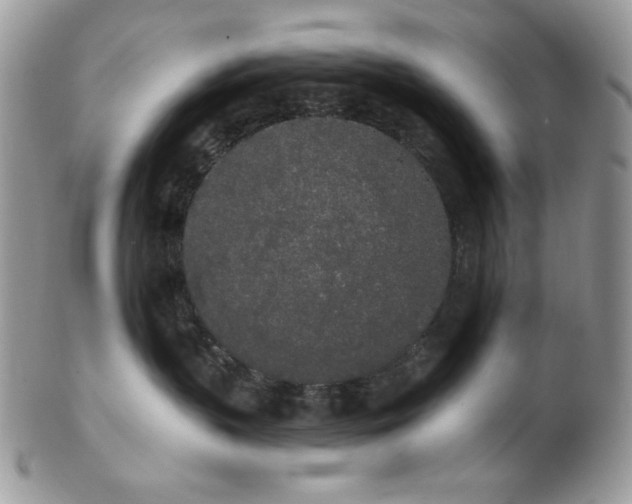 X0000102810383200808181229