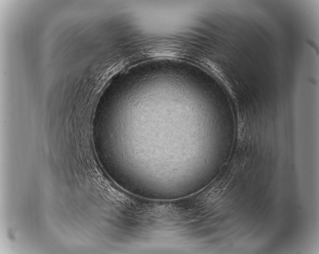 X0000102810385200808181228