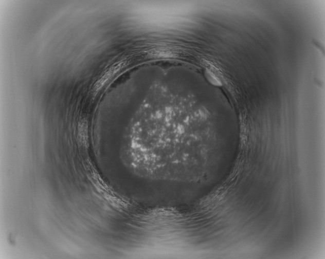 X0000102810386200808181228