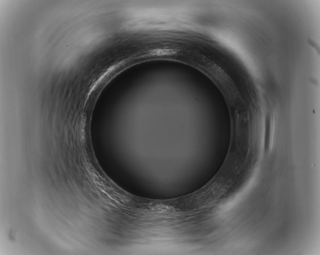 X0000102810387200808181228