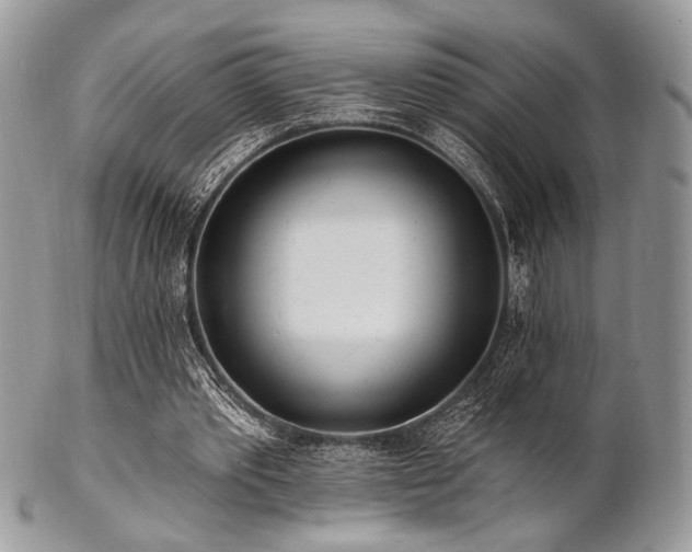 X0000102810389200808181228