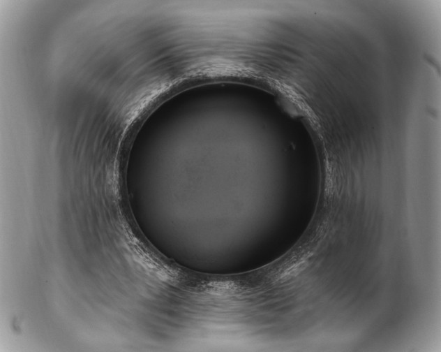 X0000102810391200808181228