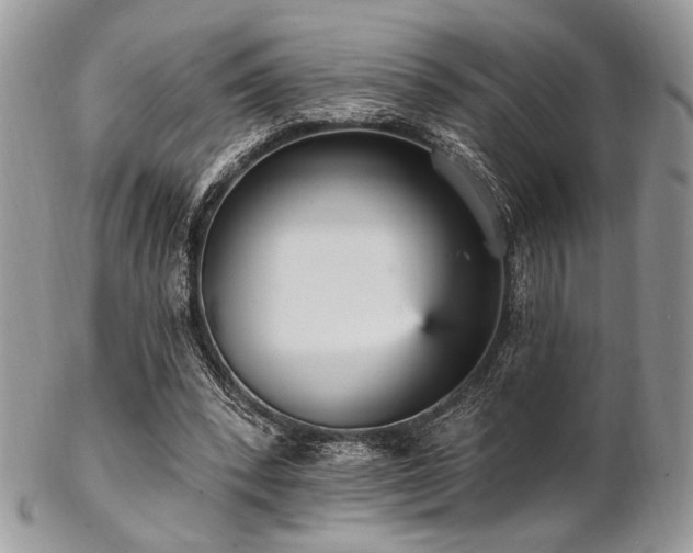 X0000102810392200808181228