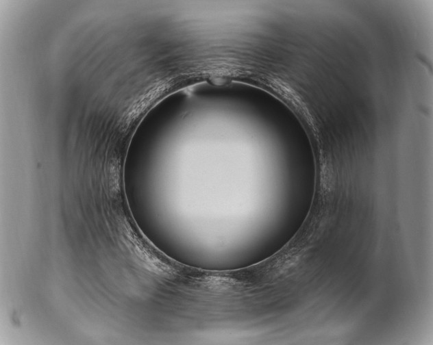 X0000102810393200808181228