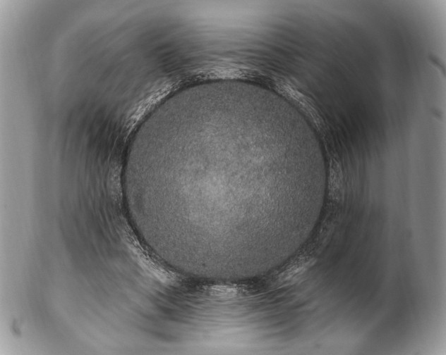 X0000102810394200808181228