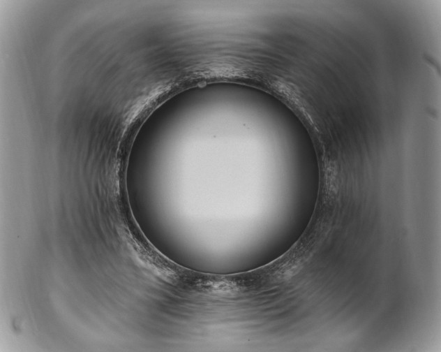 X0000102810395200808181228