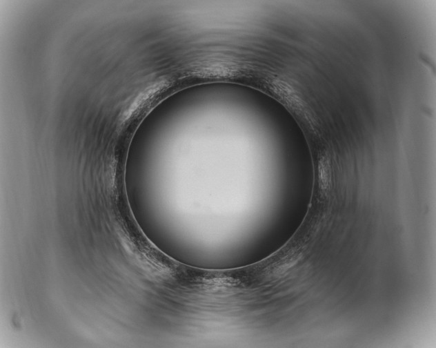 X0000102810396200808181228