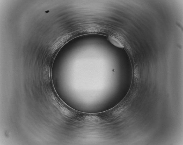 X0000102810397200808181228