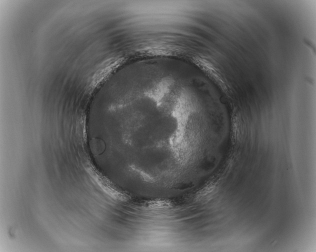 X0000102810398200808181228