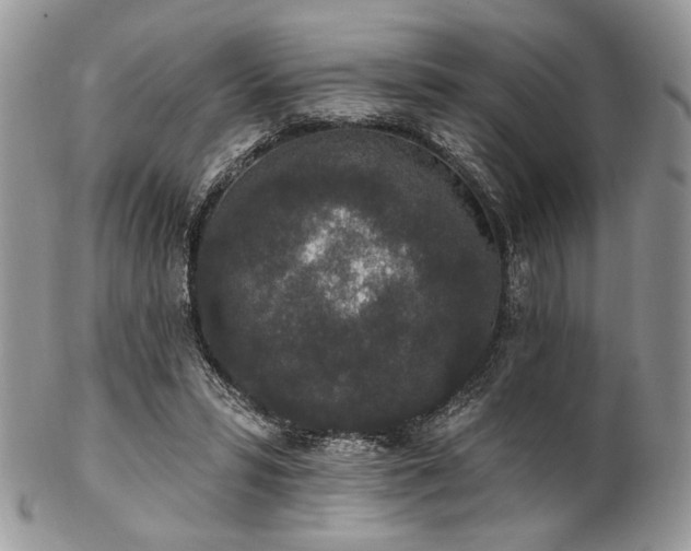 X0000102810399200808181228