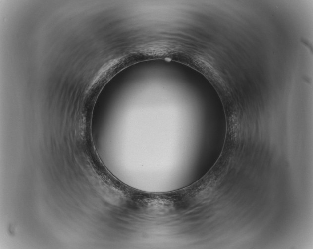 X0000102810400200808181228