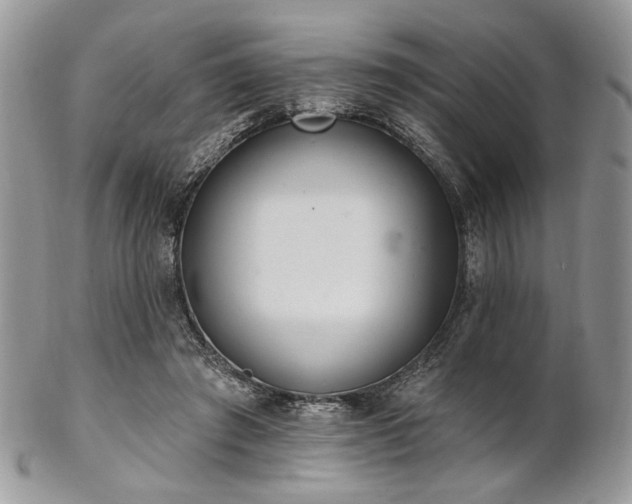 X0000102810401200808181228