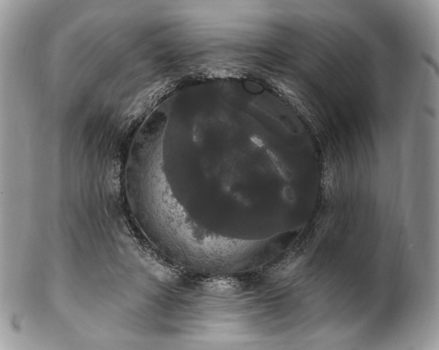 X0000102810402200808181228