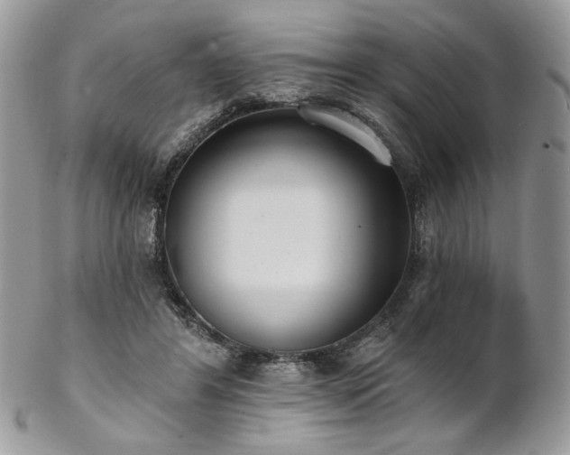 X0000102810404200808181228