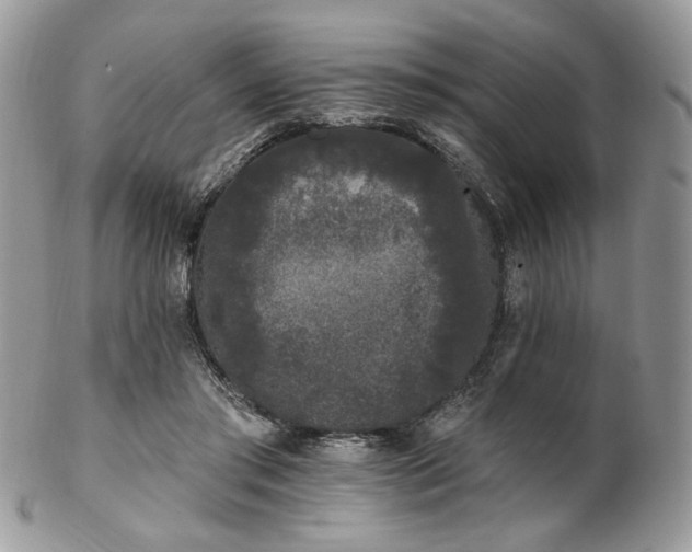 X0000102810405200808181228